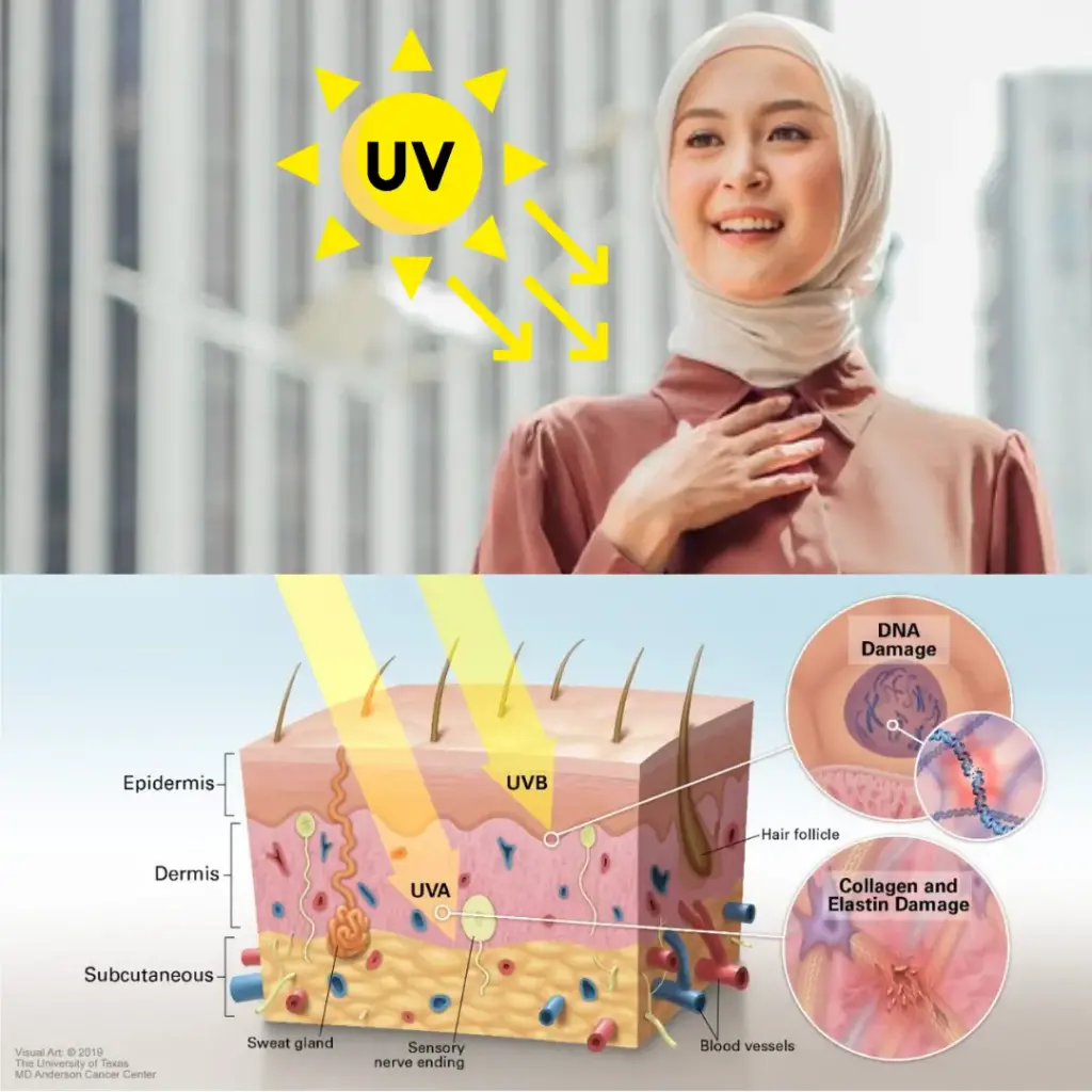 Sinaran Uv 1 1024x1024